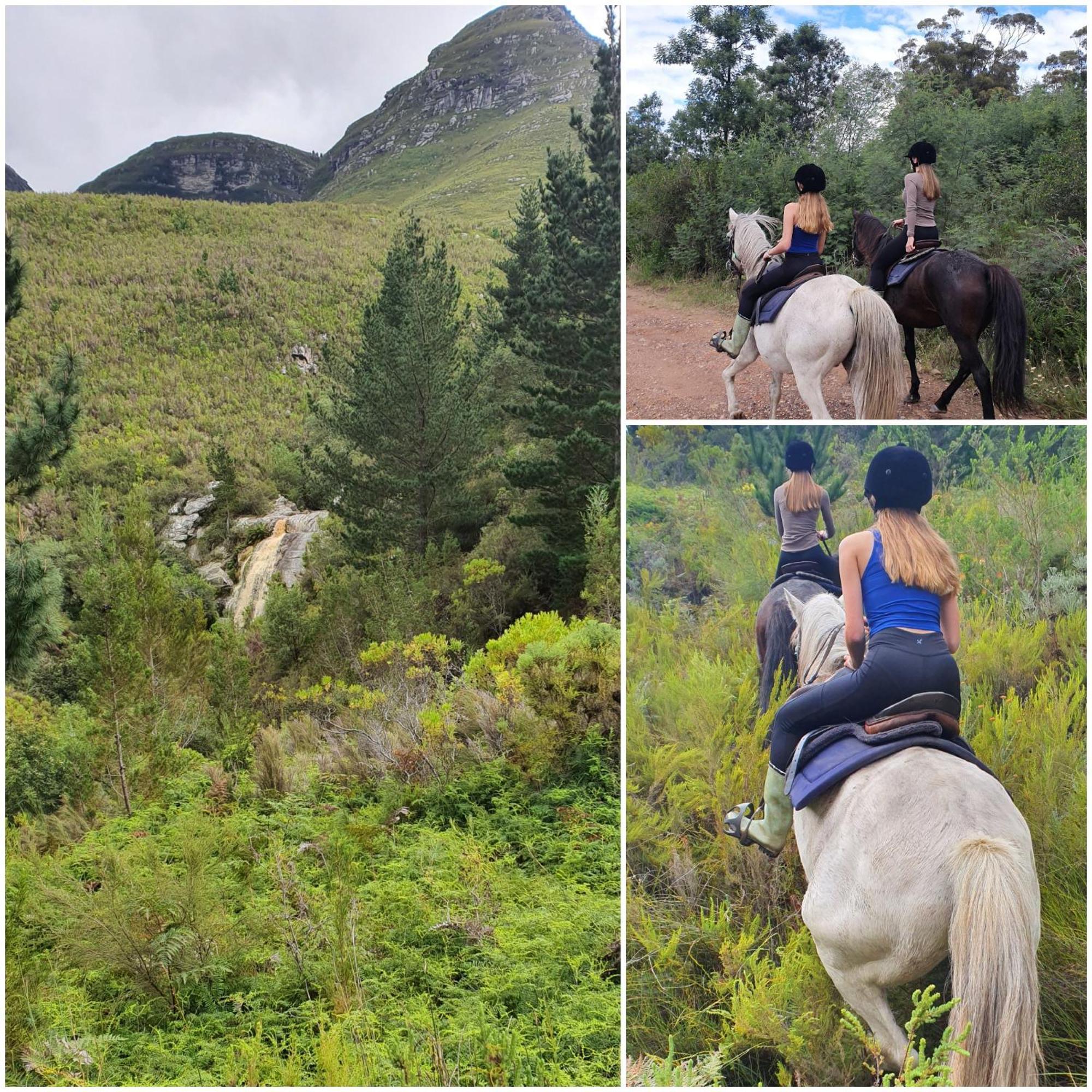 Villa Oudebosch Guest Farm Riversdale Esterno foto