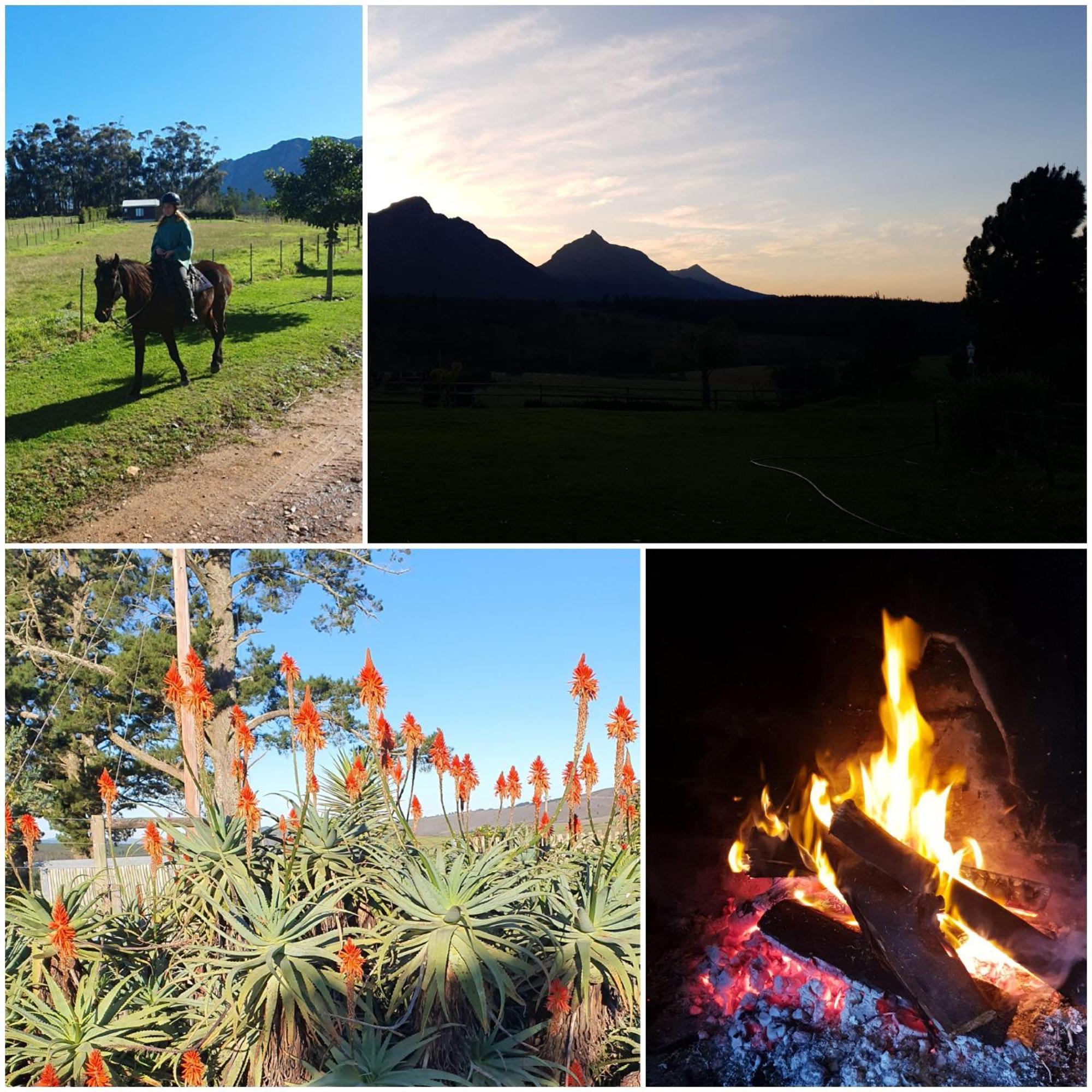 Villa Oudebosch Guest Farm Riversdale Esterno foto
