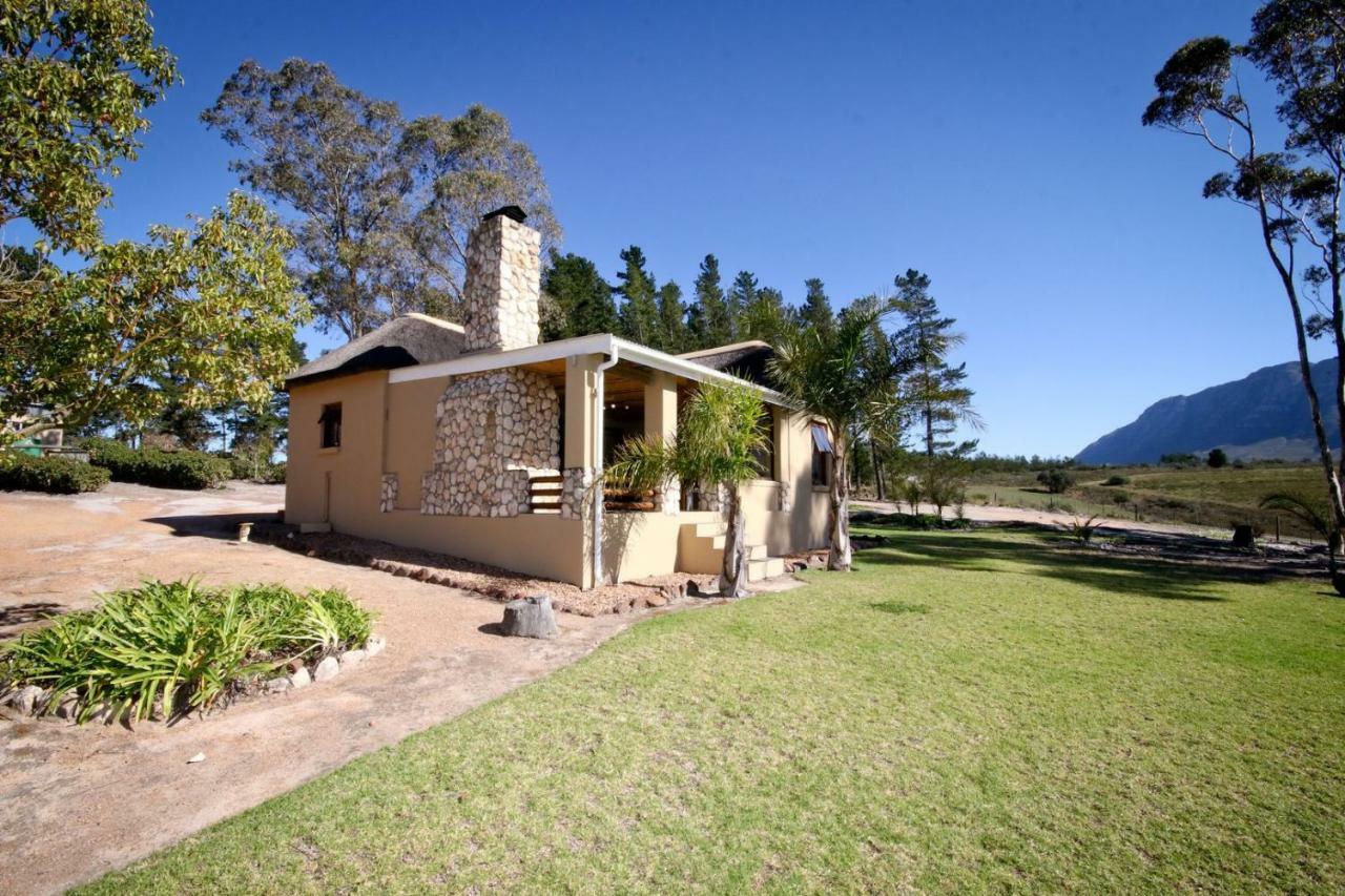 Villa Oudebosch Guest Farm Riversdale Esterno foto